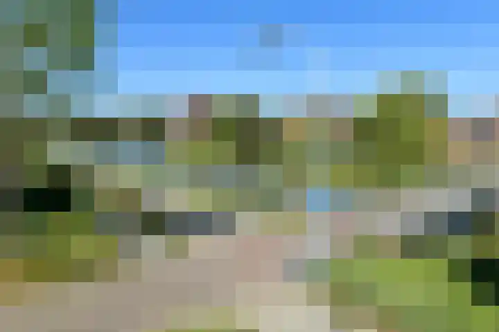 Quadrans 32 Elst thumbnail 11