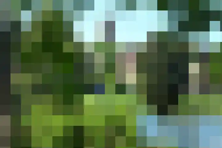 Quadrans 32 Elst thumbnail 12
