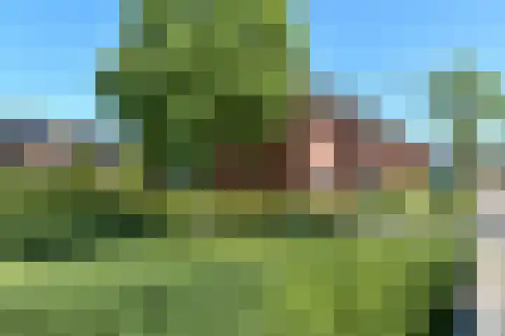 Quadrans 32 Elst thumbnail 13