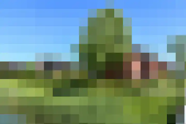 Quadrans 32 Elst thumbnail 15