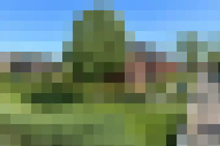 Quadrans 32 Elst thumbnail 17