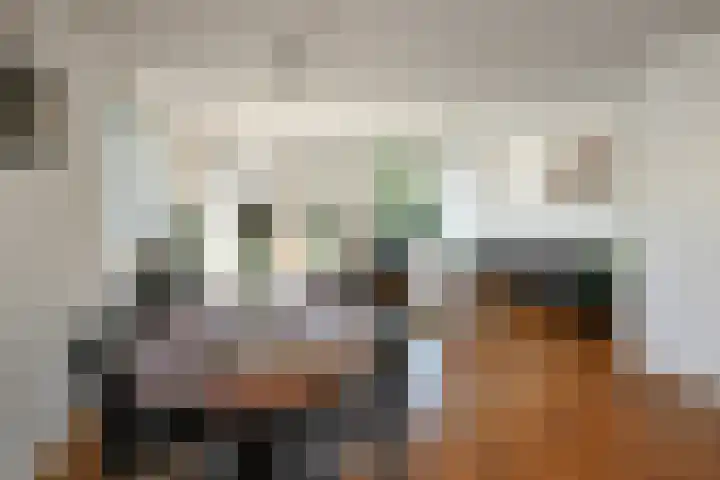 Quadrans 32 Elst thumbnail 25