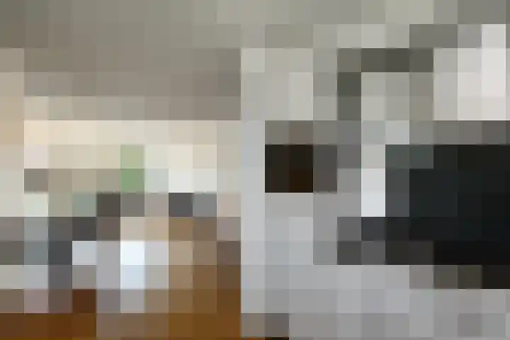 Quadrans 32 Elst thumbnail 29