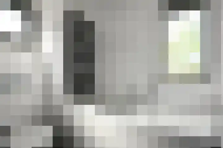 Quadrans 32 Elst thumbnail 36