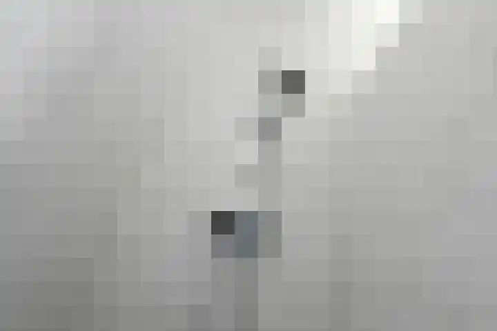 Quadrans 32 Elst thumbnail 39