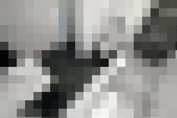Quadrans 32 Elst thumbnail 40