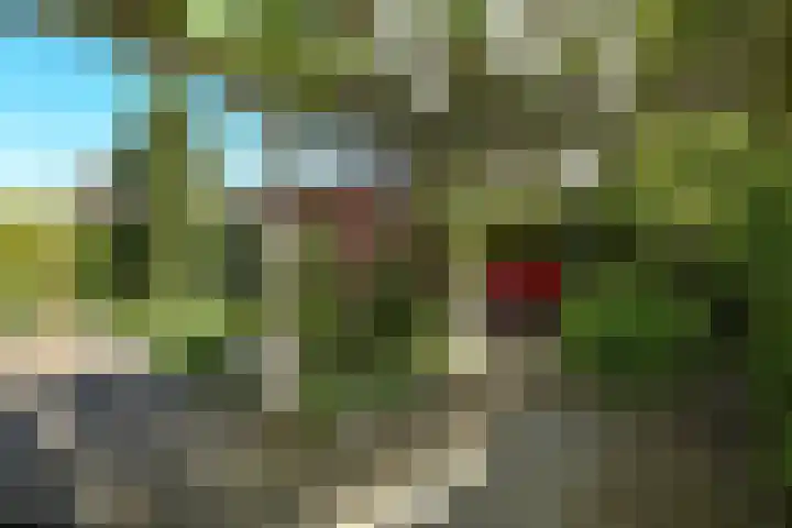 Quadrans 32 Elst thumbnail 50