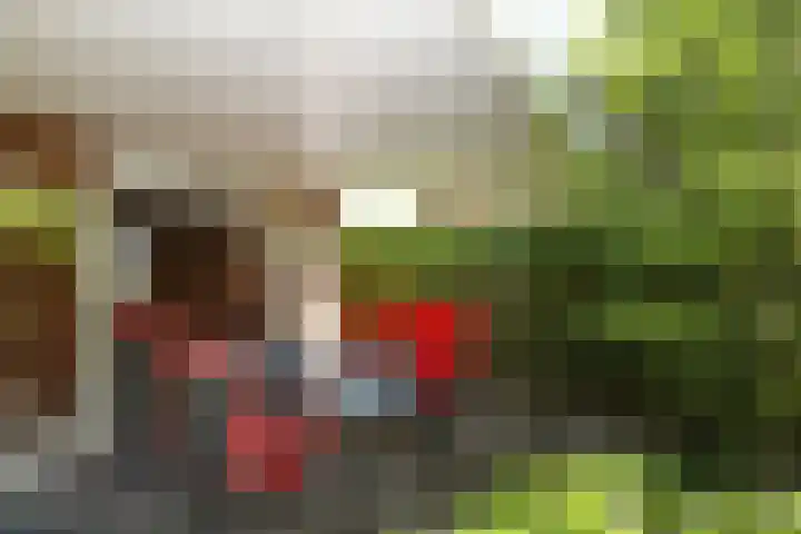 Quadrans 32 Elst thumbnail 51