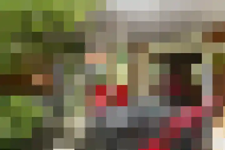 Quadrans 32 Elst thumbnail 52