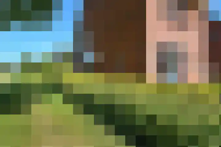 Quadrans 32 Elst thumbnail 6