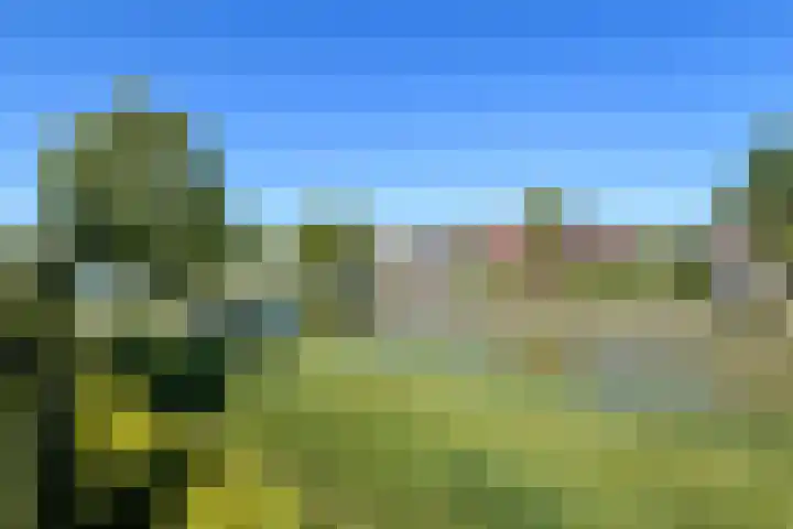 Quadrans 32 Elst thumbnail 8