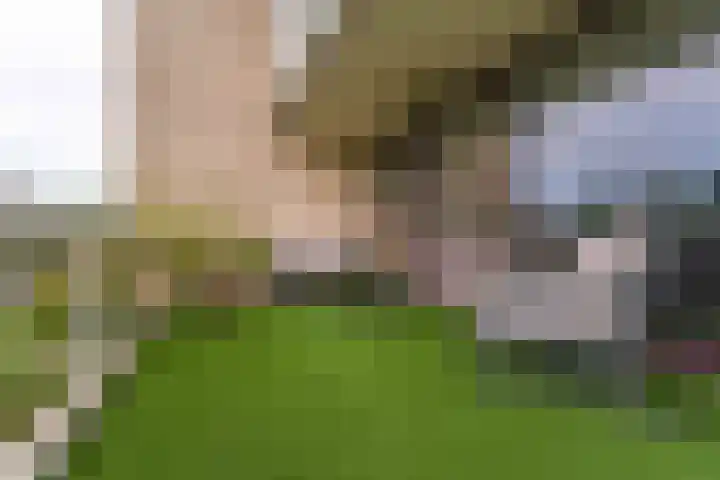Queridolaan 89 Oegstgeest thumbnail 19
