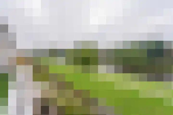 Queridolaan 89 Oegstgeest thumbnail 21