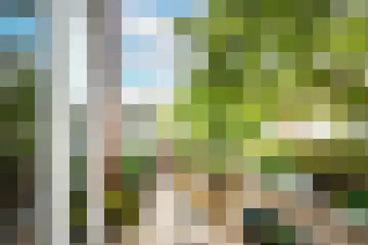 Queridostraat 17 BS Utrecht thumbnail 28