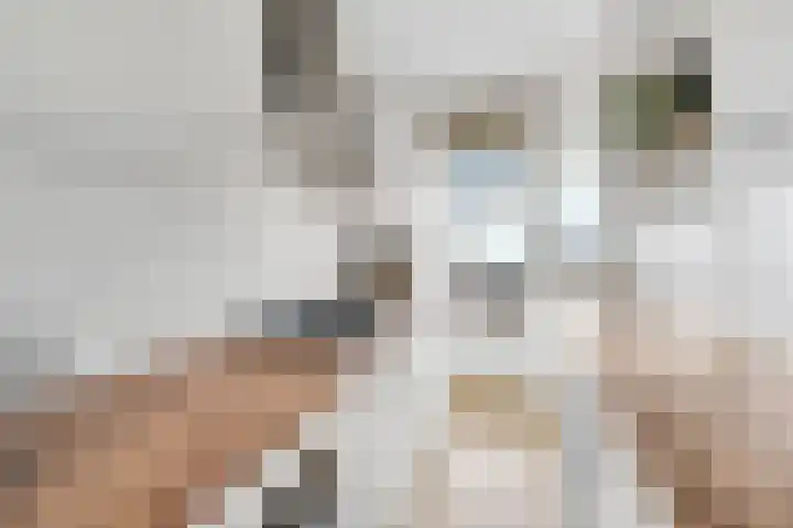 Queridostraat 65 Voorburg thumbnail 16