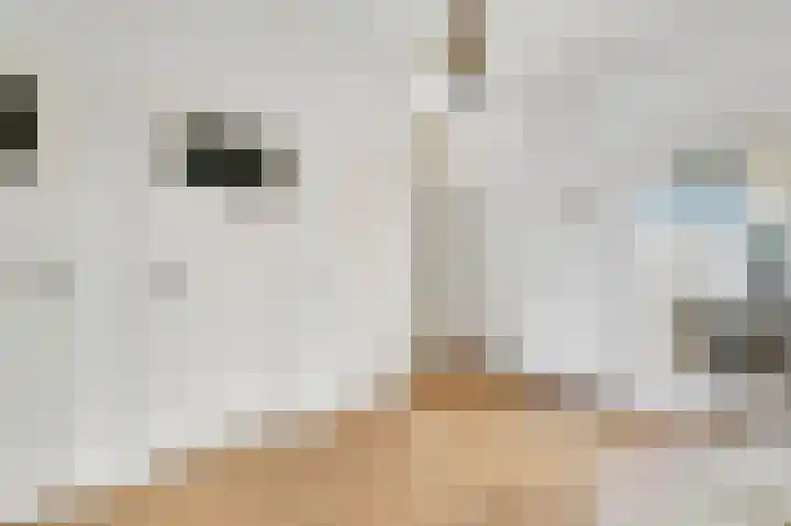 Queridostraat 65 Voorburg thumbnail 6