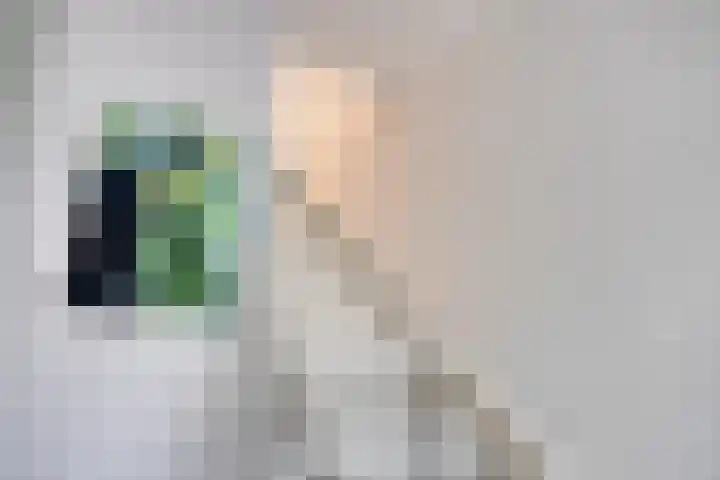 Quickstepstraat 53 Almere thumbnail 12