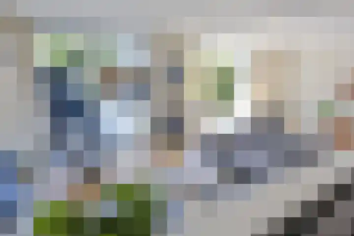 R Pollemaplein 10 Franeker thumbnail 13