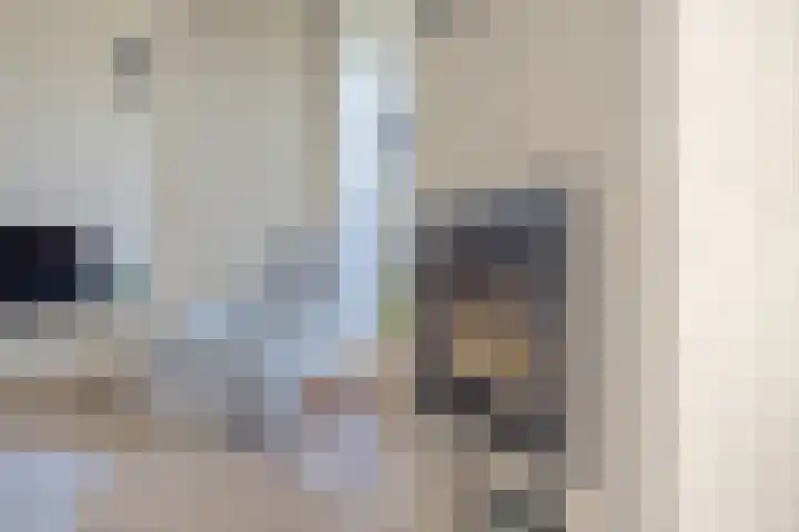 R Pollemaplein 10 Franeker thumbnail 15
