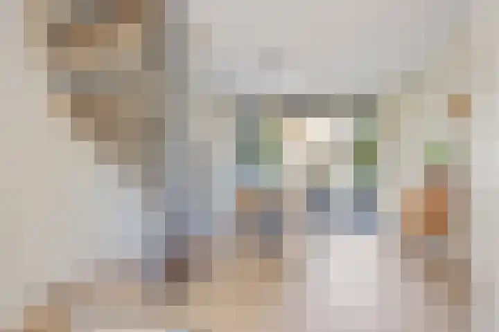 R Pollemaplein 10 Franeker thumbnail 16