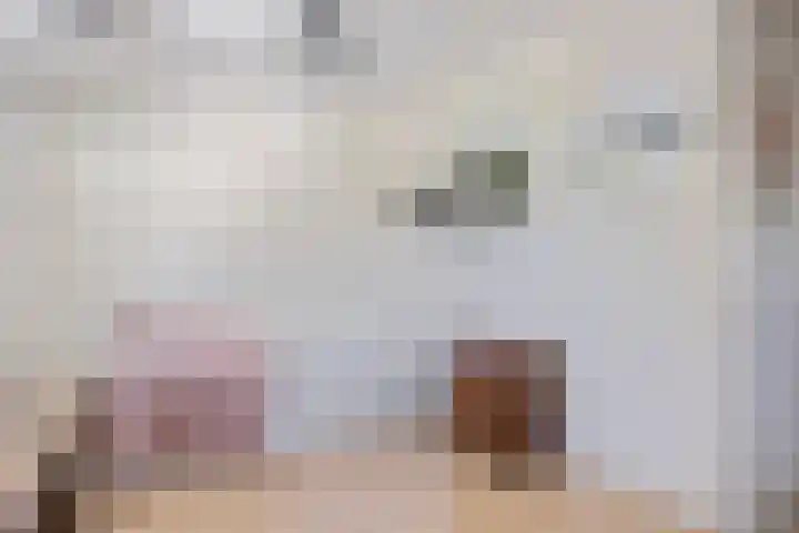 R Pollemaplein 10 Franeker thumbnail 18