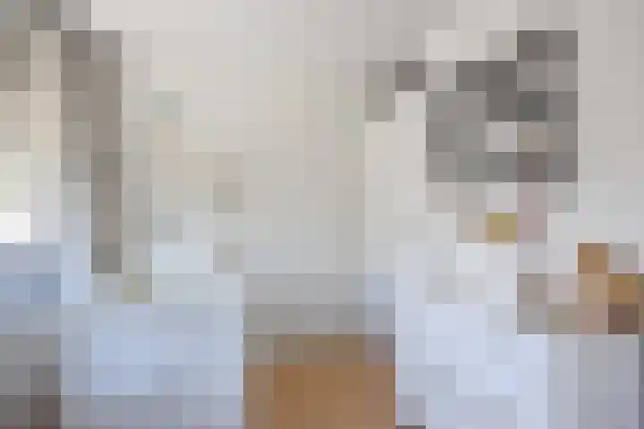 R Pollemaplein 10 Franeker thumbnail 22