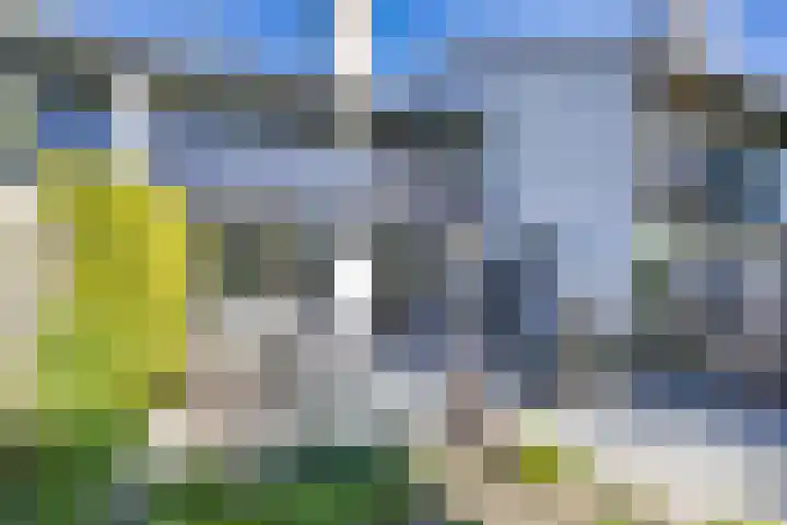 R Pollemaplein 10 Franeker thumbnail 35