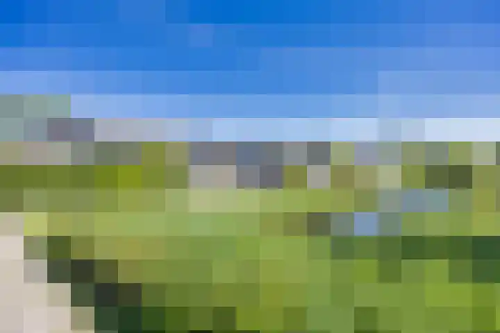 R Pollemaplein 10 Franeker thumbnail 38