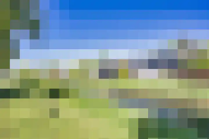 R Pollemaplein 10 Franeker thumbnail 41