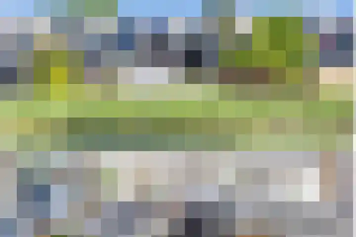 R Pollemaplein 10 Franeker thumbnail 42