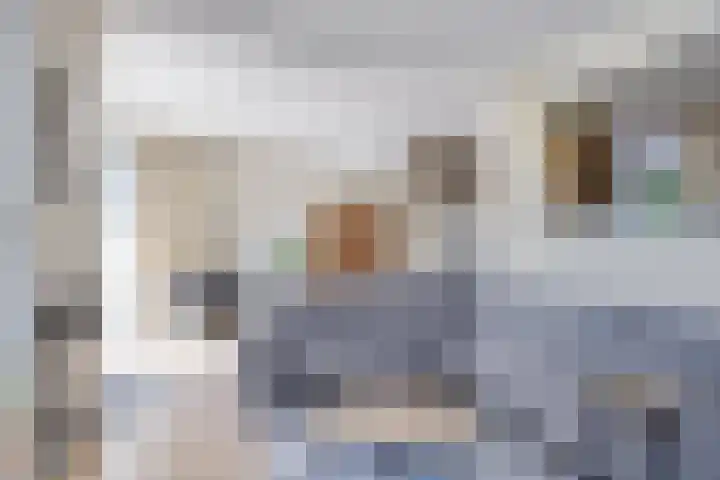 R Pollemaplein 10 Franeker thumbnail 8