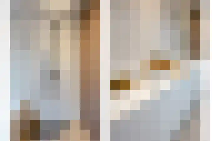 Raadhuislaan 103 Oss thumbnail 17