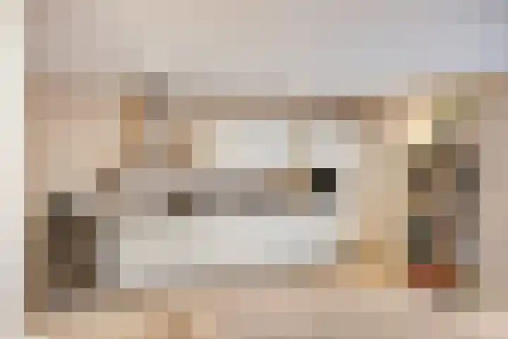 Raadhuislaan 103 Oss thumbnail 7