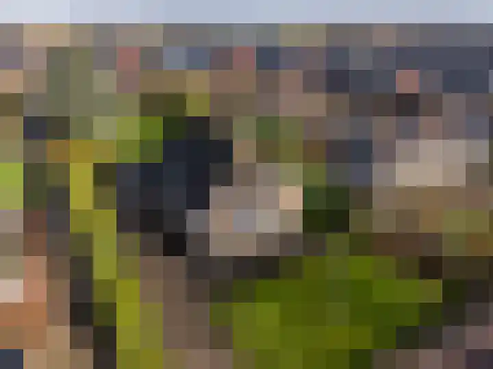 Raadhuislaan 14 in Mijnsheerenland
