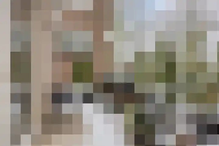 Raadhuislaan 83 Oss thumbnail 22
