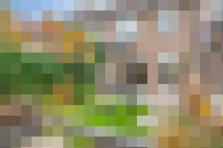Raadhuispark 14 Beek thumbnail 23