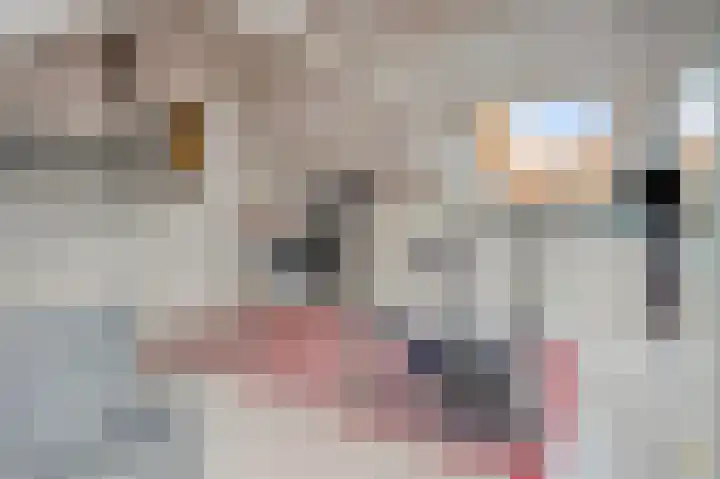 Raadhuispark 14 Beek thumbnail 37