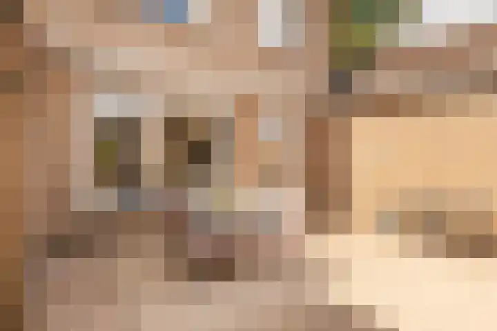 Raadhuispark 8 Beek thumbnail 37