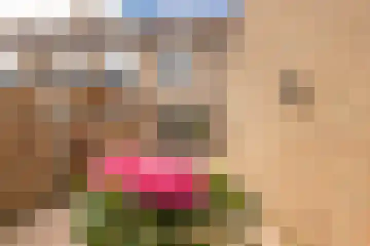 Raadhuispark 8 Beek thumbnail 39