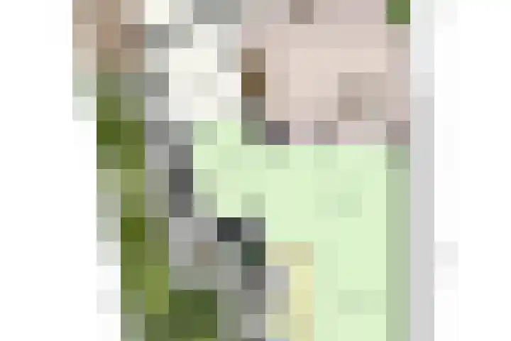 Raadhuispark 8 Beek thumbnail 46