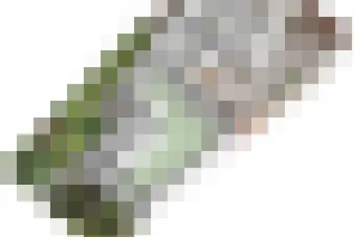 Raadhuispark 8 Beek thumbnail 47