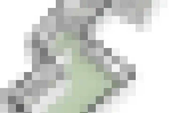 Raadhuispark 8 Beek thumbnail 49