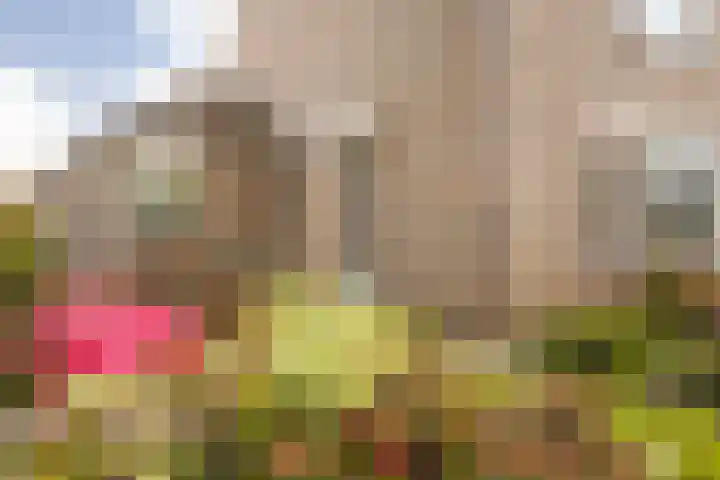 Raadhuispark 8 Beek thumbnail 7