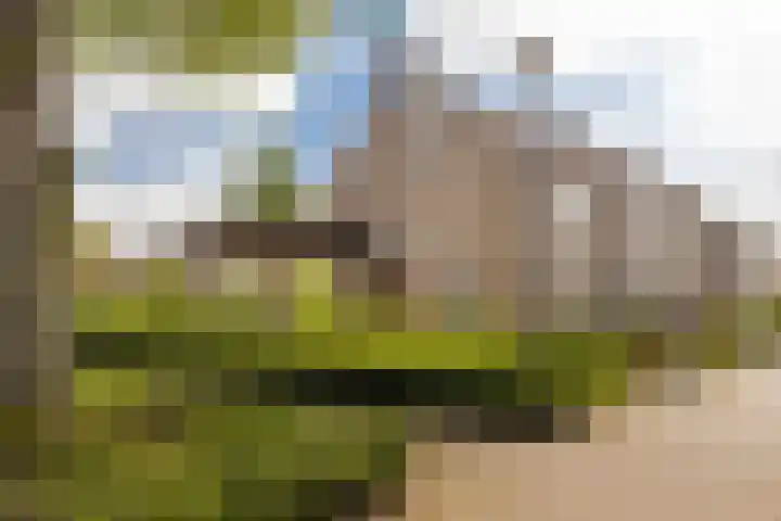 Raadhuispark 8 Beek thumbnail 8