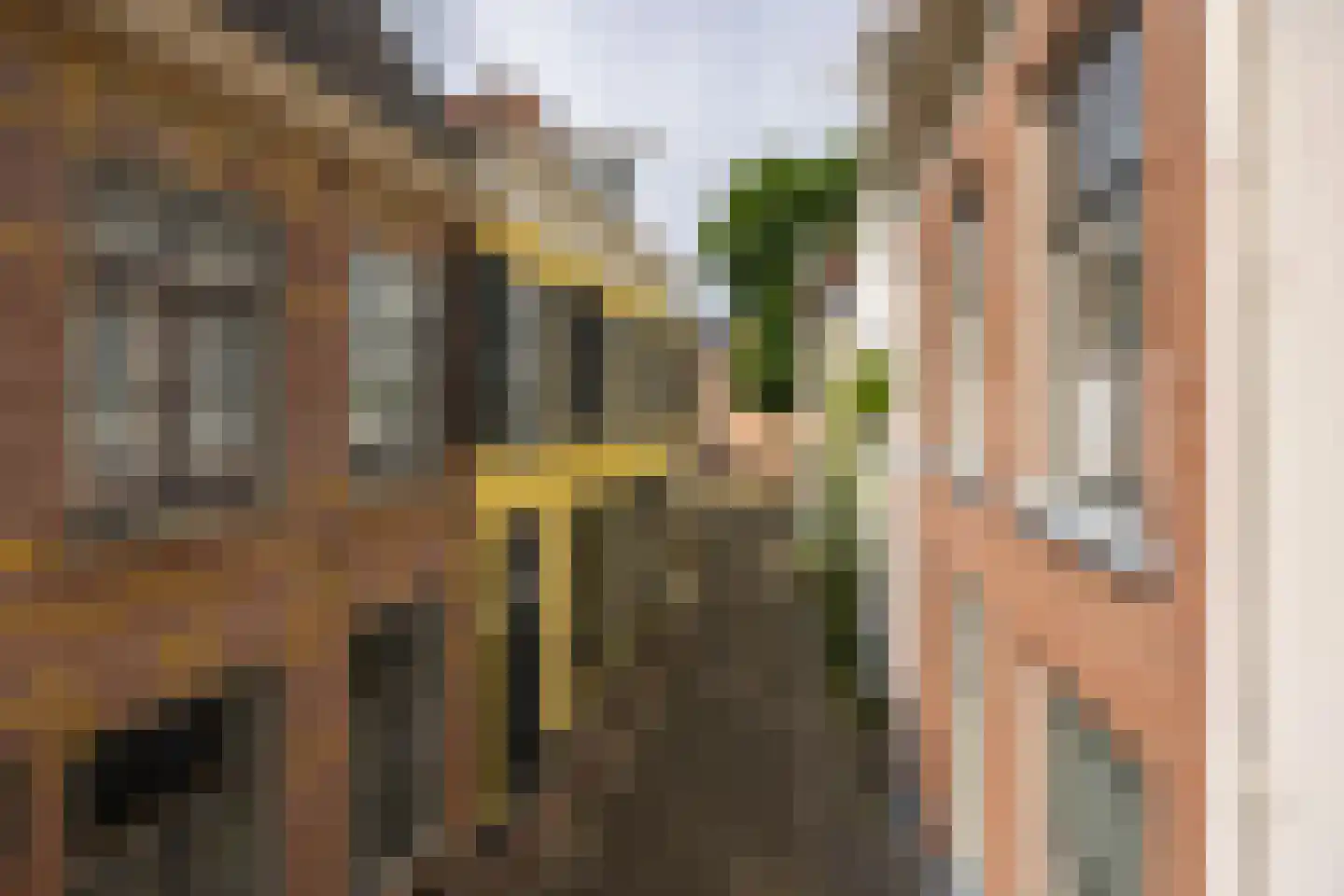 Raadhuissteeg 6 in Zutphen
