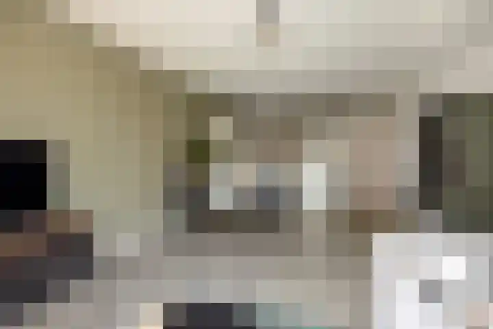 Raadhuisstraat 36 Deurne thumbnail 15