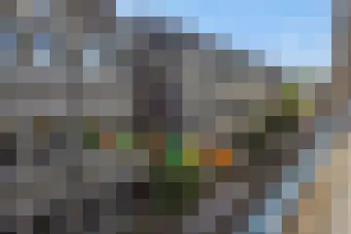 Raadhuisstraat 36 Deurne thumbnail 24