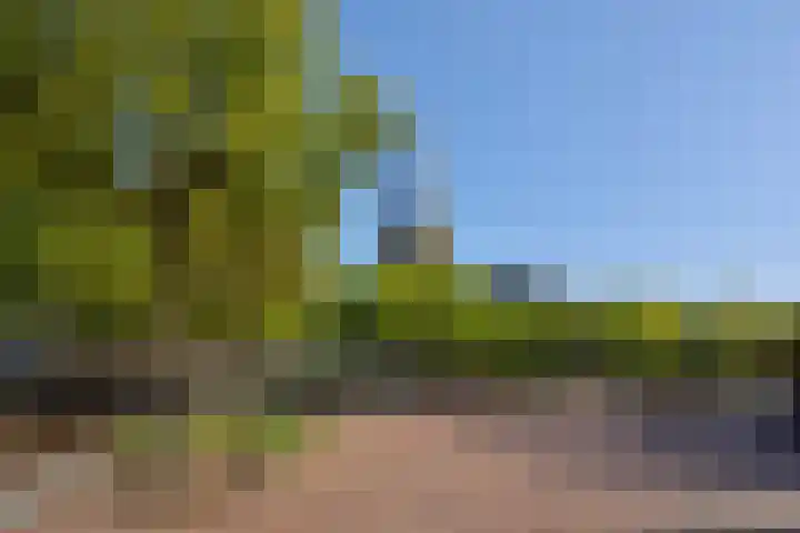 Raadhuisstraat 36 Deurne thumbnail 35