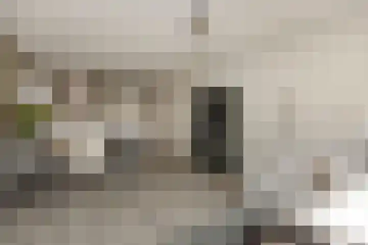 Raadhuisstraat 36 Deurne thumbnail 40