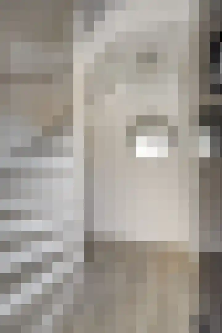 Raadhuisstraat 36 Deurne thumbnail 9